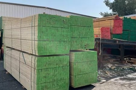 WhatsApp Image 2026-02-27 at 13.03.32